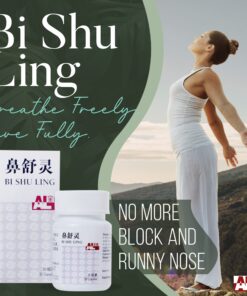 Alternative view of Bi Shu Ling