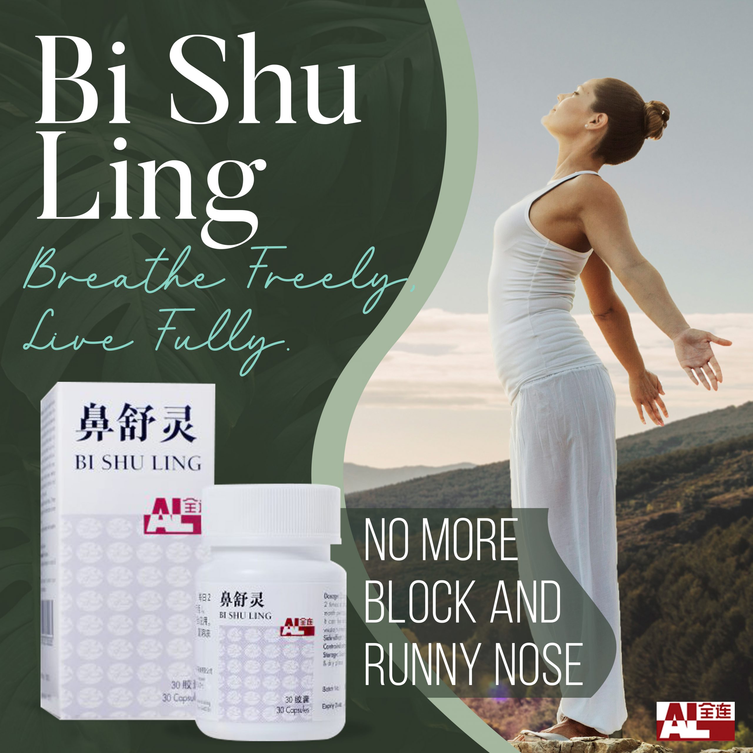 Bi Shu Ling - Image 2