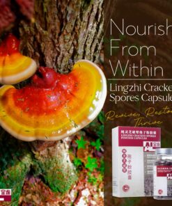 Alternative view of Lingzhi Cracked Spores Powder Capsules (200 capsules)