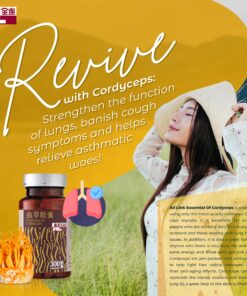 Alternative view of Essential Of Cordyceps