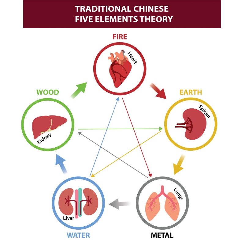 traditional chinese medicine five organs and elements theory